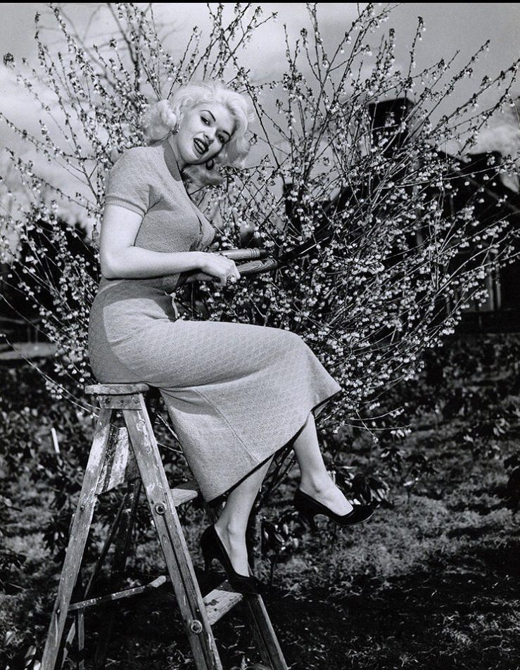 Jayne Mansfield showing her form