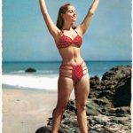 A very interesting 50’s Bikini