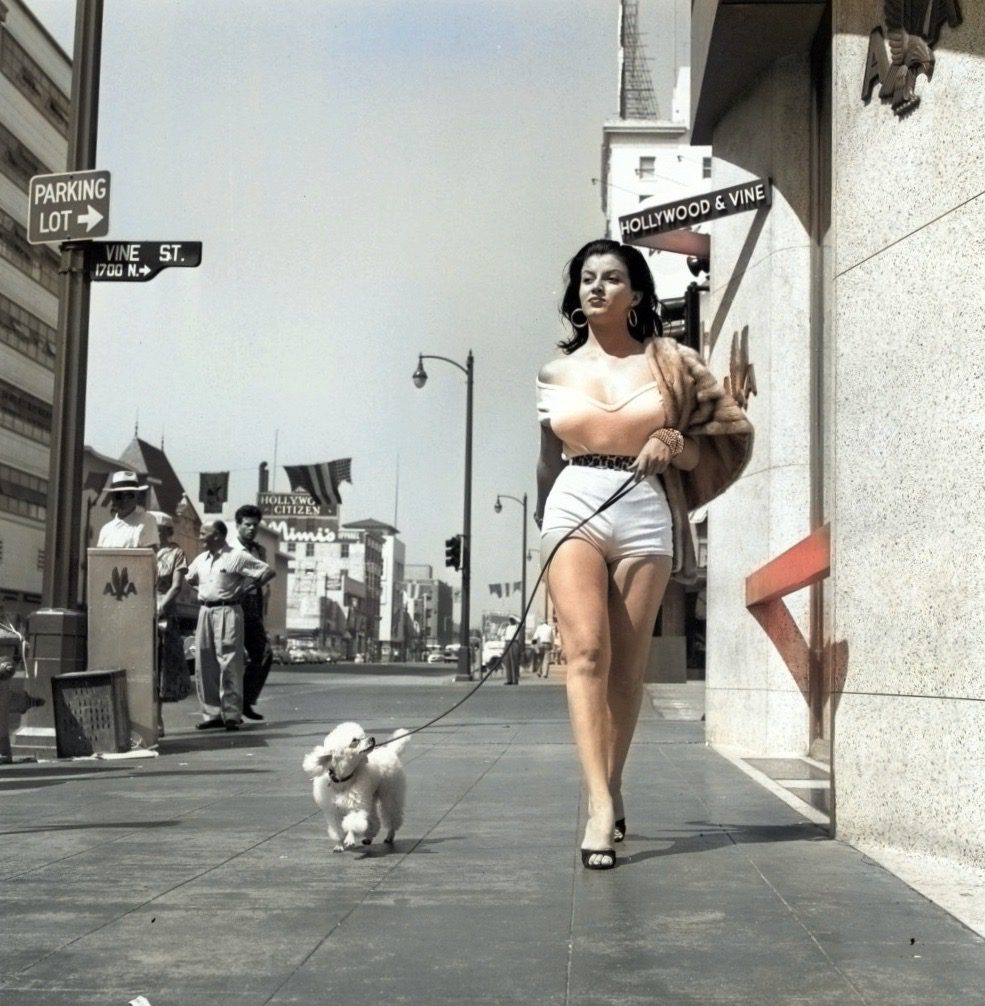 Joan Bradshaw walking her poodle on Hollywood Vine - 1957