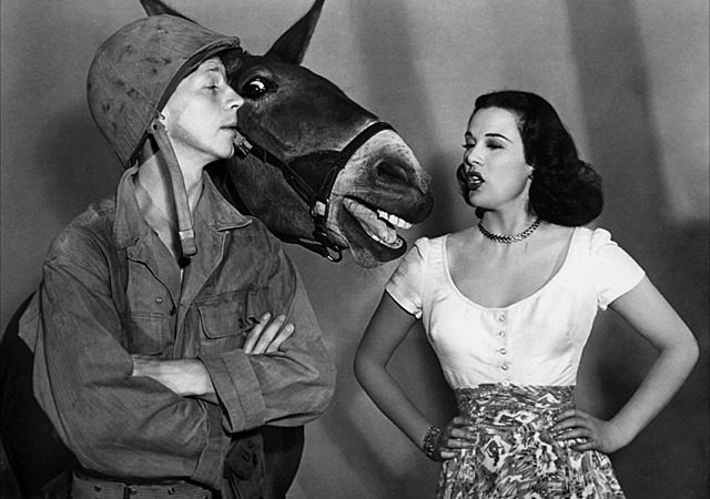 Donald O´ Connor and Patricia Medina in Francis the talking mule 1950