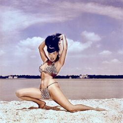 Bettie in a animal print Bikini