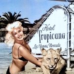 Jayne Mansfield poses with a tiger cub at the Tropicana Hotel pool in Las Vegas, 1959