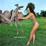 Jungle Bettie and a large feathered friend